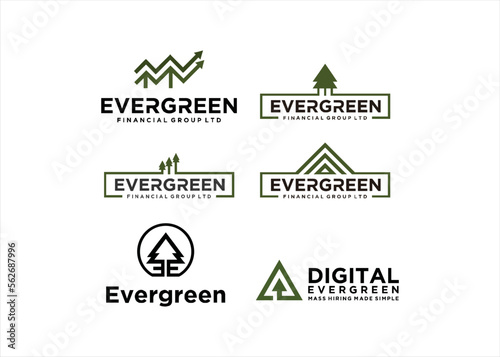 set evergreen pine tree logo design business