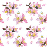 Watercolor illustration, pattern with delicate cherry blossoms on a white background.