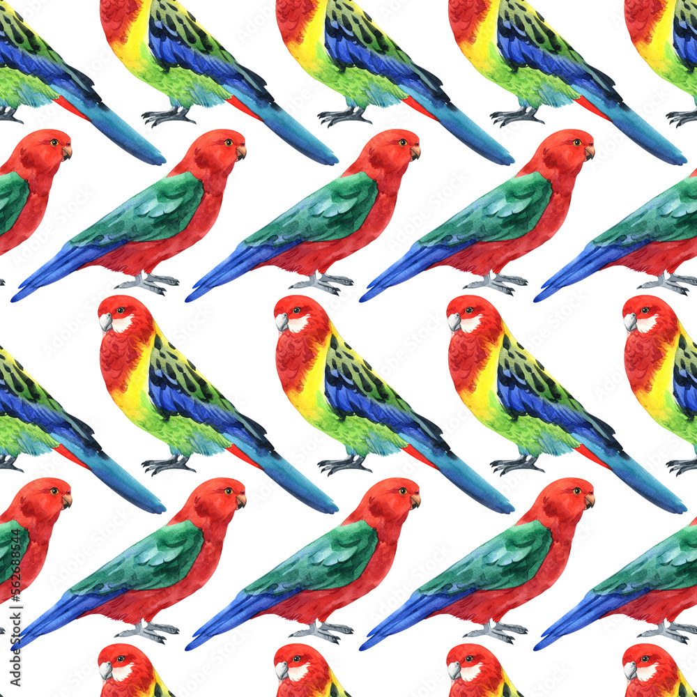 Obraz premium Watercolor cute parrot pattern. Pattern parrot. Watercolor cute animal. Watercolor cute bird. Hand painting postcard isolated white background. birds. cute pattern. cute parrot pattern.