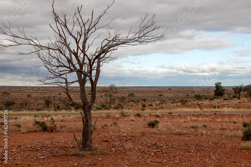 White Cliffs Australia  panoramic view across the plain to the horizon