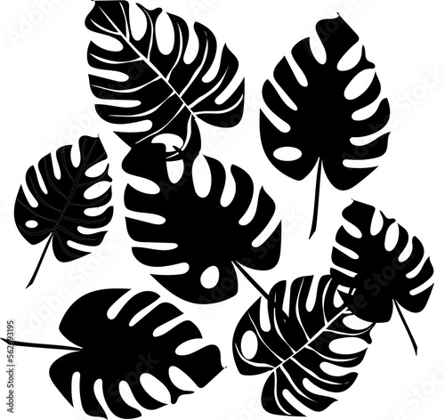 Fantasy. Monstera leaves in different sizes, black silhouette, cartoon