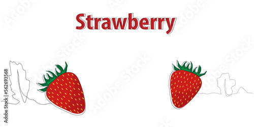 illustration of strawberry in white background