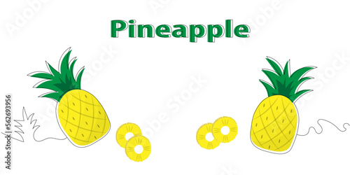 illustration of pineapple in white background