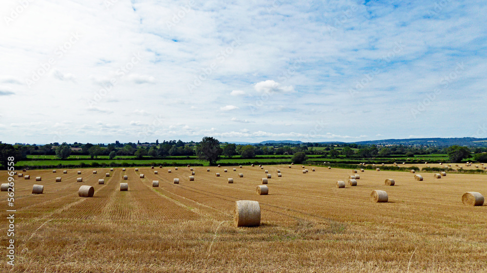 Straw bales in the Summertime.