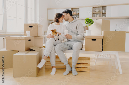 Moving to new home, family time concept. Couple in love going to kiss each other, sit at white bench against kitchen interior, play with dog, surrounded with many packages, enjoy first day in new home © VK Studio