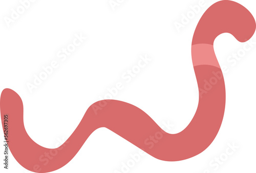 worm design illustration isolated on transparent background 