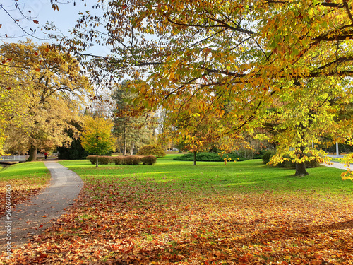 autumn season in Slovenia - yellow nature in park of Maribor