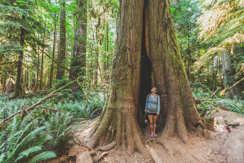 Young woman standing inside ancient Douglas Fir tree in Cathedral Grove photo