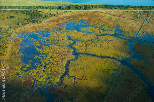 Aerial view of Pitt Polder Ecological Reserve