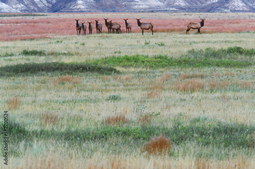 Theodore Roosevelt Wilderness, ND USA photo