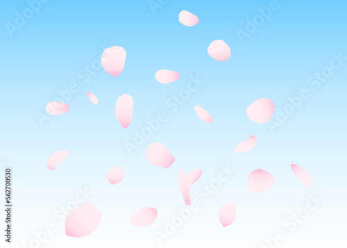 舞い散る花びらのイラスト