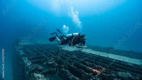 Wallpaper Mural couple of divers exploring a wreck ship Torontodigital.ca