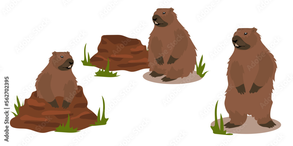 Fototapeta premium A set of groundhogs for groundhog Day with a mink from which he got out. a harbinger of spring. A festive set for postcards, banners and flyers. Vector illustration.