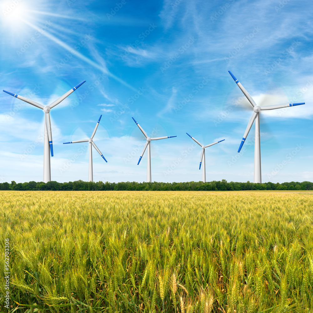 Group of white and blue wind turbines in a rural landscape with a green wheat field in springtime. Blue sky and clouds on background. Renewable energy concept.