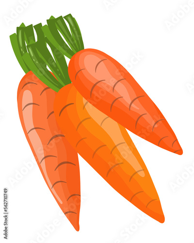 Fresh carrots