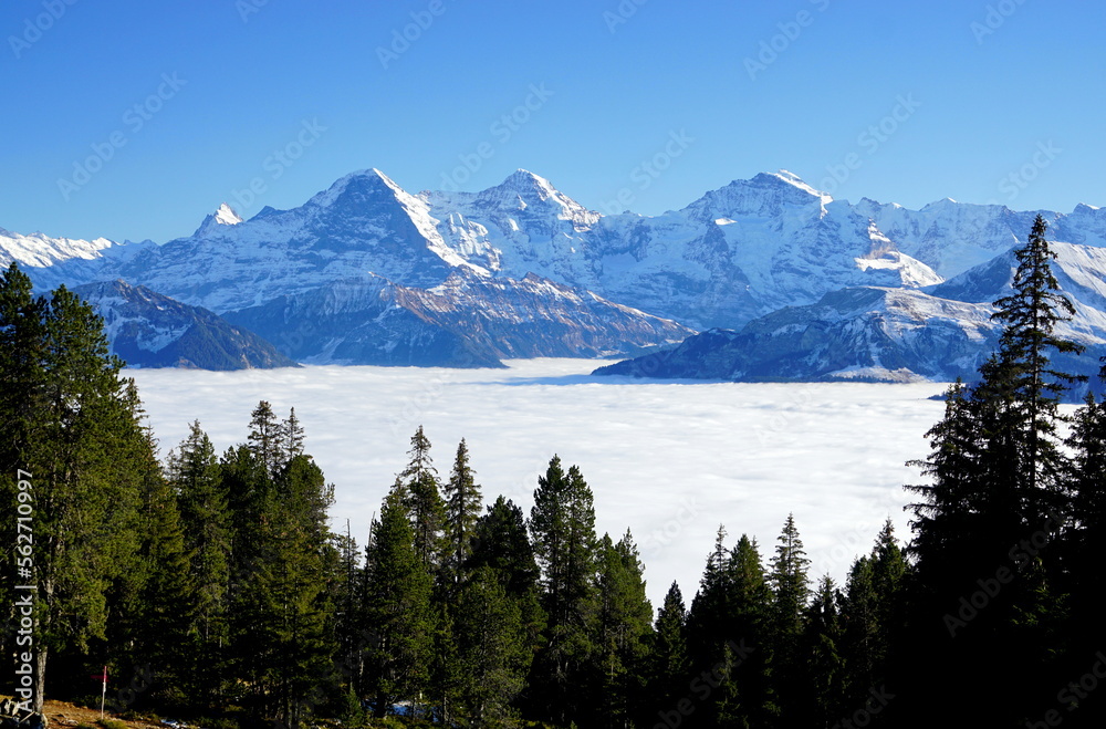 Eiger, Mönch und Jungfrau Alpen Schweiz switzerland Alps