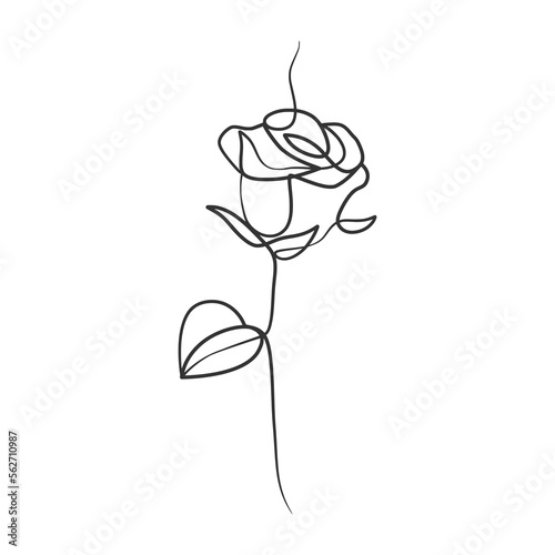 Rose flower in continuous line art drawing style