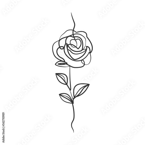 Rose flower in continuous line art drawing style
