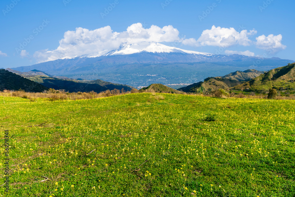 beautiful green meadow with yellow flowers and young spring grass on foreground and amazing mountains on background