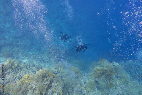 Wallpaper Mural Two scuba divers with the equipment over colorful coral reef on the bottom of tropical sea at great depth, underwater landcape Torontodigital.ca