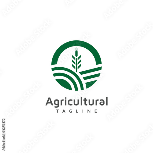 Agricultural plant logo design template