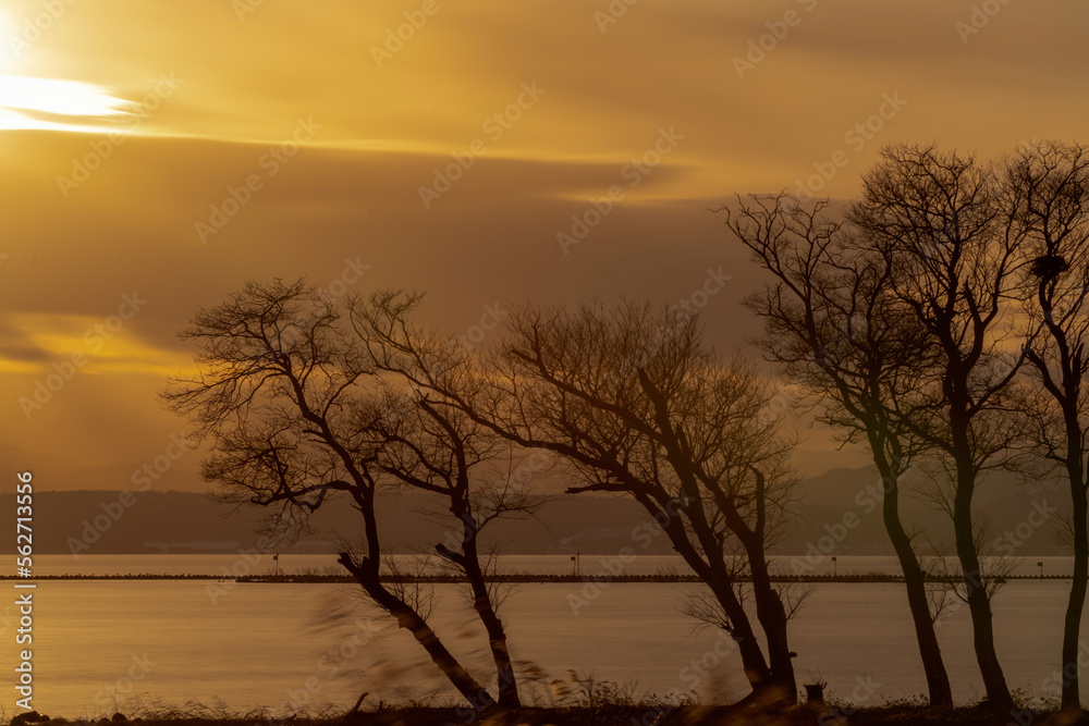  滋賀県長浜市湖北町の夕日に映える琵琶湖