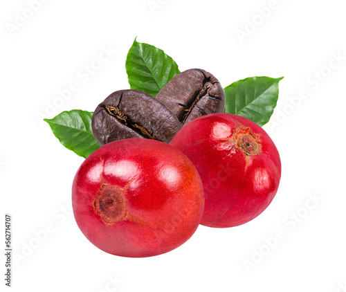 Coffee seeds isolated on transparent png
