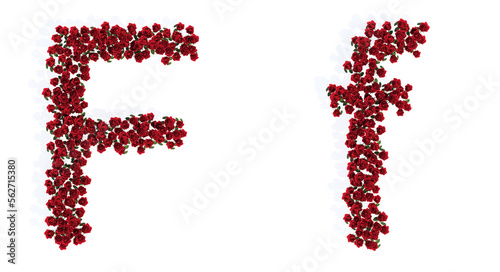 Concept or conceptual set of beautiful blooming red roses bouquets forming the font F. 3d illustration metaphor for education, design and decoration, romance and love, nature, spring or summer.