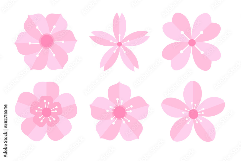 sakura flower petals set