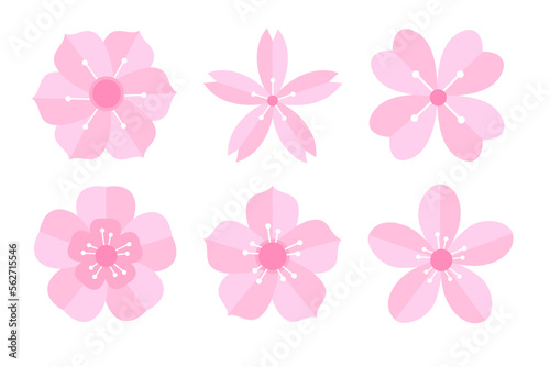 sakura flower petals set © Hellgraph