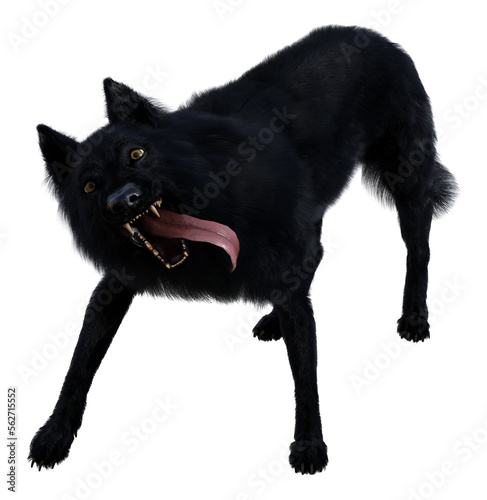 Картината върху платно Illustration of a black wolf with tongue out snarling looking forward isolated on a white background