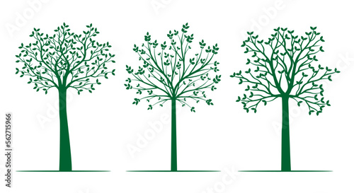 Set Green Trees. Vector outline Illustration. Plant and Garden.