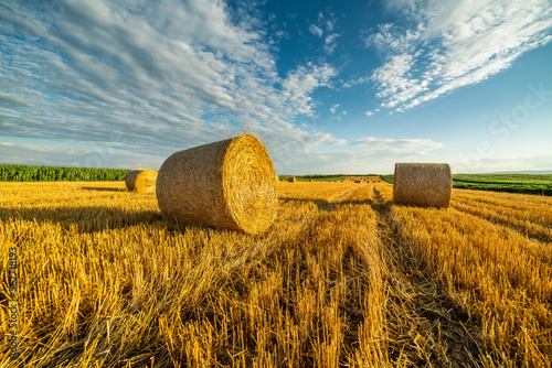 Golden fields, bales of wheat rolling through the landscape like a sea of treasure as the sun sets on another day of hard work photo