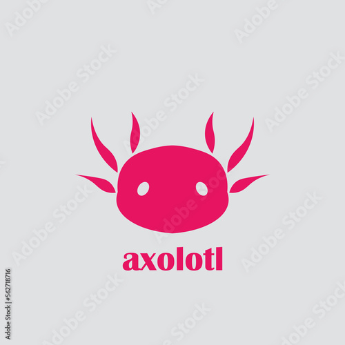 illustration of an axolotl
