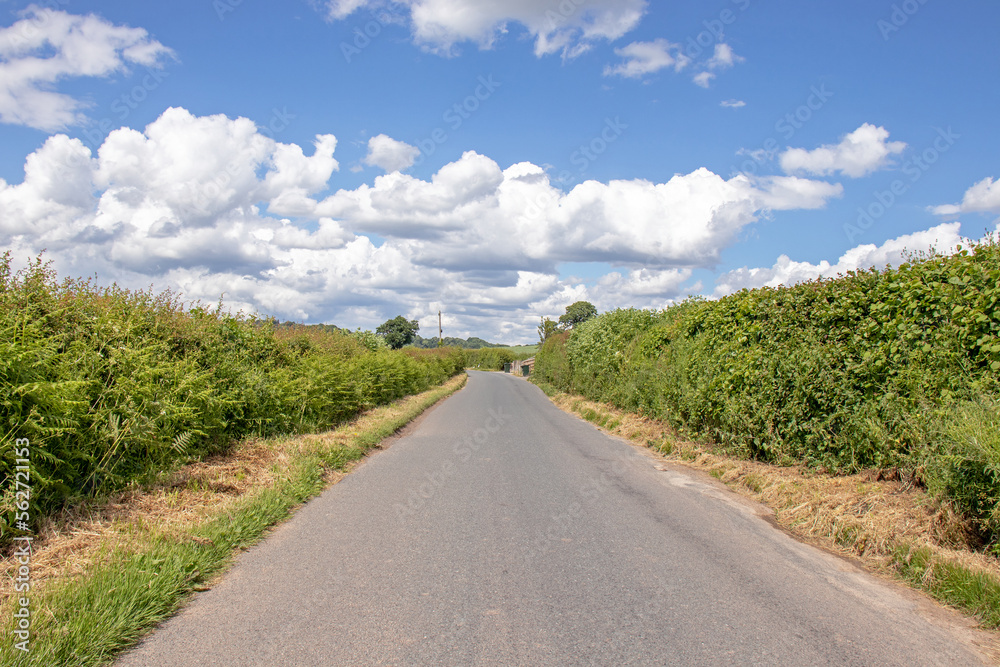 Abberley hills in the Summertime.