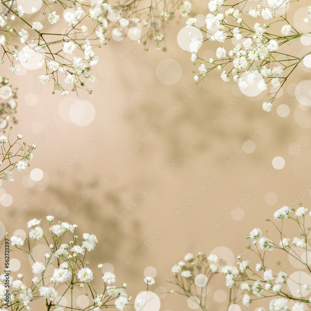 Obraz premium Spring flower background with branches of blossoming white gypsophila on beige background with bokeh effect. Spring time. Natural blossoming background. Soft focus