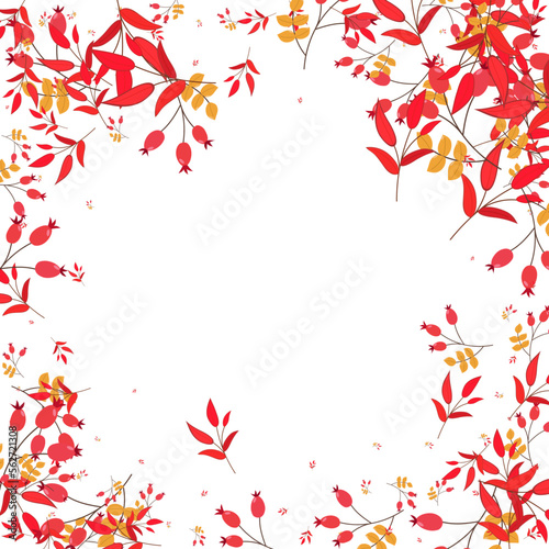 Burgundy Leaf Background White Vector. Foliage Autumn Illustration. Pink Berries October. Abstract Texture. Herb Drawn.