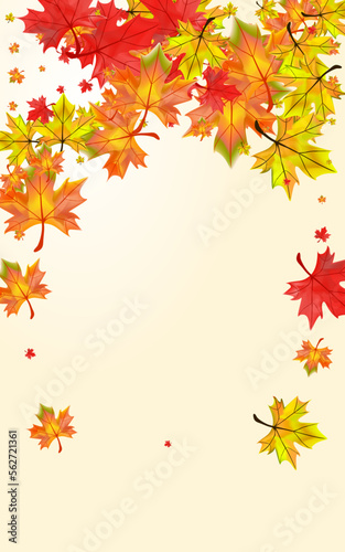 Yellow Leaf Background Beige Vector. Foliage Tree Frame. Ocher Decoration Plant. Wallpaper Floral Design.