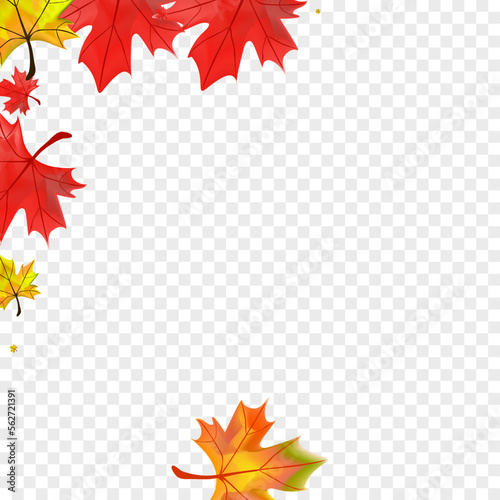 Ocher Foliage Background Transparent Vector. Plant Nature Template. Orange Bright Leaf. Pattern Leaves Card.