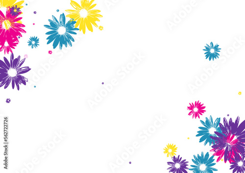 Multi-colored Petal Background White Vector. Gerbera Simple Print. Colorful Flowers Hand Drawn. Festive Illustration. Floral Violet Plant.