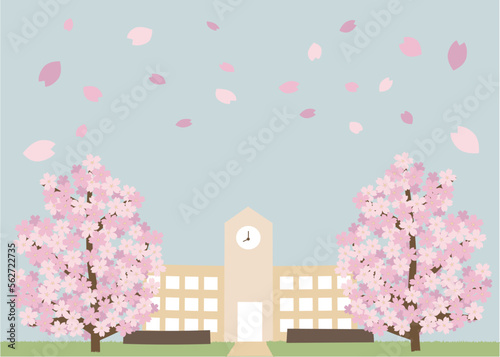桜の木と校舎