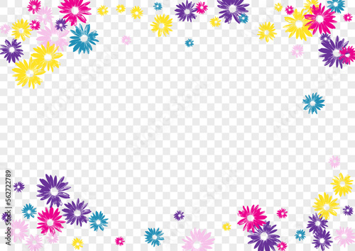 Pink Daisy Background Transparent Vector. Chamomile Holiday Template. Multi-colored Flowers Wallpaper. Artistic Print. Spring Blue Flower. © Vlada Balabushka