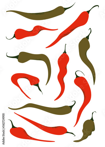 Chili peppers in green and red colors