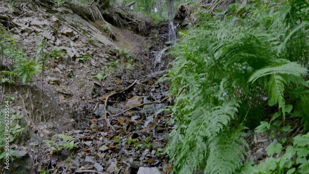 Small waterfalls going over rocks in Caucasian State Natural Biosphere Reserve, a clear-water mountain stream in the Lago-Naki plateau, Russia. Small waterfalls going over rocks in Caucasian State Natural Biosphere Reserve, a clear-water mountain stream in the Lago-Naki plateau, Russia.