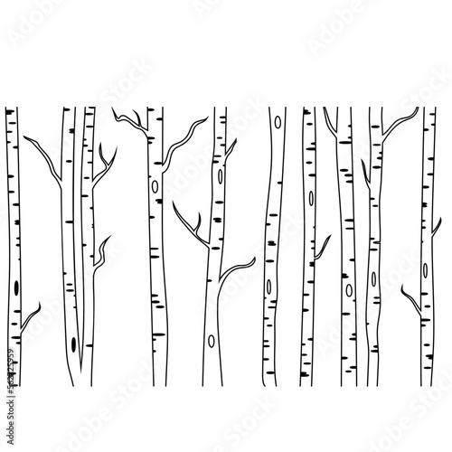 Birch tree icon vector. Forest illustration sign. Trees symbol or logo.