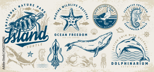 Ocean animals stickers set colorful