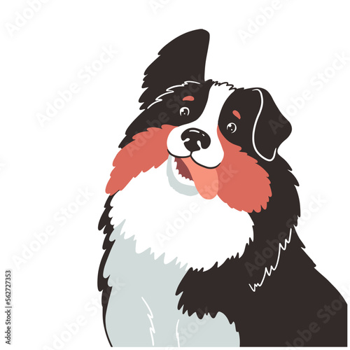 Cute dog vector character illustration, Australian Shepherd

