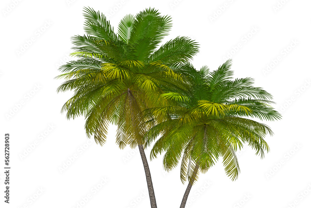 Fototapeta premium Tropical Palm Trees 3D Illustration