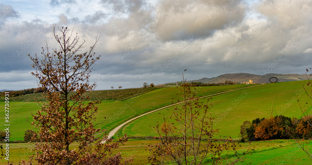 Fototapeta premium Autumn landscape in the Tuscan countryside near Montegemoli Pisa Tuscany Italy