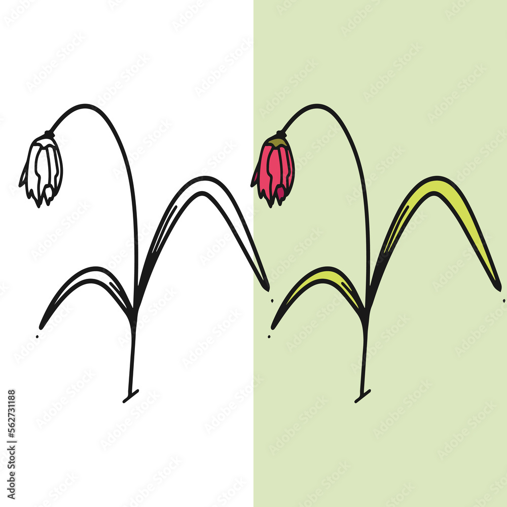 Hand drawn withered flower vector illustration Hand drawn withered flower vector illustration